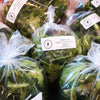 Organic Oasis Salad Greens